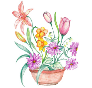 Drawing of flowers in a vase
