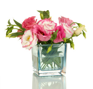 Vase of roses